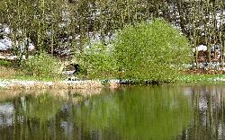 cliquez ici pour voir l'image (IMG_0631.jpg)