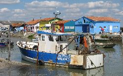 cliquez ici pour voir l'image (IMG_0202.jpg)