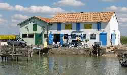 cliquez ici pour voir l'image (IMG_0203.jpg)