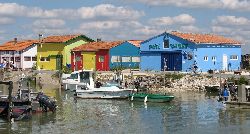 cliquez ici pour voir l'image (IMG_0204.jpg)