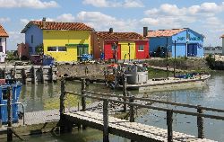 cliquez ici pour voir l'image (IMG_0205.jpg)