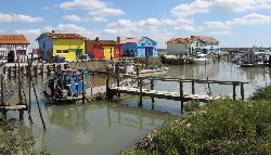 cliquez ici pour voir l'image (IMG_0206.jpg)