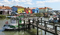 cliquez ici pour voir l'image (IMG_0207.jpg)