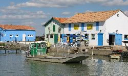 cliquez ici pour voir l'image (IMG_0208.jpg)