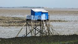 cliquez ici pour voir l'image (IMG_0213.jpg)