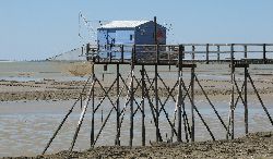 cliquez ici pour voir l'image (IMG_0218.jpg)