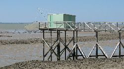 cliquez ici pour voir l'image (IMG_0219.jpg)