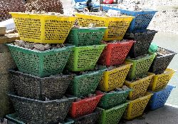 cliquez ici pour voir l'image (IMG_0278.jpg)