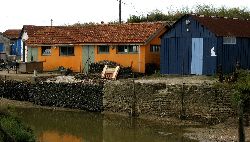 cliquez ici pour voir l'image (IMG_0296.jpg)