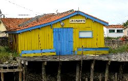 cliquez ici pour voir l'image (IMG_0297.jpg)