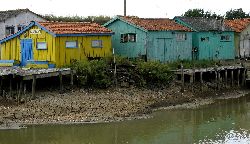 cliquez ici pour voir l'image (IMG_0298.jpg)