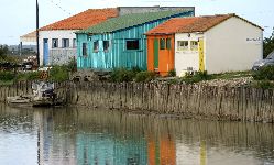 cliquez ici pour voir l'image (IMG_0300.jpg)