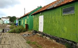 cliquez ici pour voir l'image (IMG_0301.jpg)