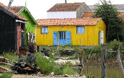 cliquez ici pour voir l'image (IMG_0303.jpg)