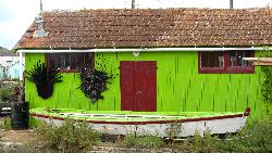 cliquez ici pour voir l'image (IMG_0304.jpg)