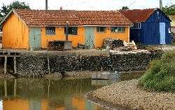 cliquez ici pour voir l'image (IMG_0305.jpg)