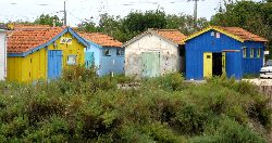 cliquez ici pour voir l'image (IMG_0306.jpg)