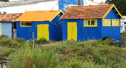 cliquez ici pour voir l'image (IMG_0308.jpg)