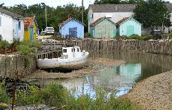 cliquez ici pour voir l'image (IMG_0310.jpg)