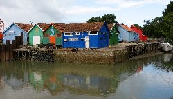 cliquez ici pour voir l'image (IMG_0313.jpg)