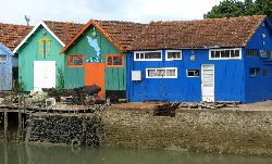 cliquez ici pour voir l'image (IMG_0314.jpg)