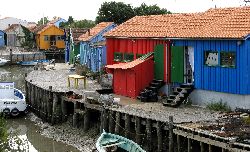 cliquez ici pour voir l'image (IMG_0316.jpg)