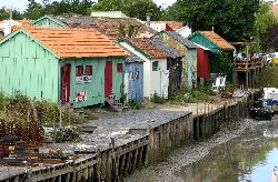 cliquez ici pour voir l'image (IMG_0317.jpg)