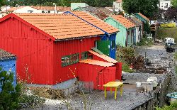 cliquez ici pour voir l'image (IMG_0318.jpg)