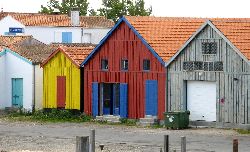 cliquez ici pour voir l'image (IMG_0319.jpg)