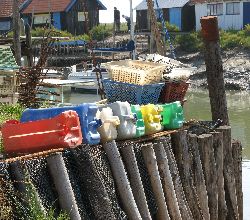 cliquez ici pour voir l'image (IMG_0345.jpg)