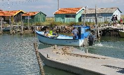 cliquez ici pour voir l'image (IMG_0356.jpg)