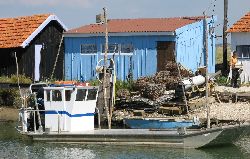 cliquez ici pour voir l'image (IMG_0358.jpg)