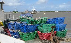 cliquez ici pour voir l'image (IMG_0421.jpg)