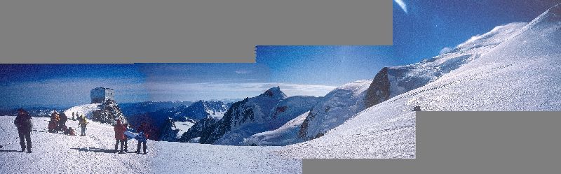 cliquez ici pour voir l'image (Vallot.JPG)