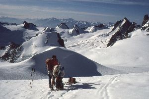 cliquez ici pour voir l'image (photo003.jpg)