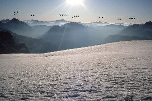 cliquez ici pour voir l'image (img003b.jpg)