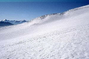 cliquez ici pour voir l'image (img016.jpg)