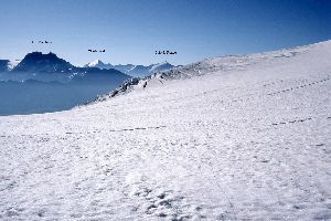 cliquez ici pour voir l'image (img017.jpg)