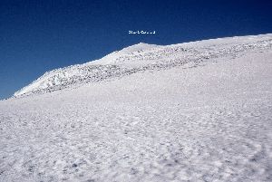 cliquez ici pour voir l'image (img019.jpg)