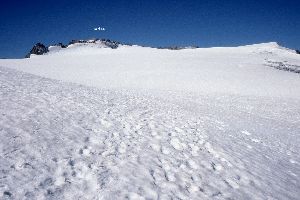 cliquez ici pour voir l'image (img027.jpg)