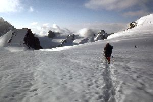 cliquez ici pour voir l'image (photo005.jpg)