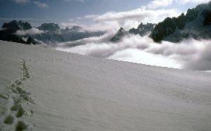 cliquez ici pour voir l'image (photo012.jpg)