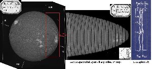 cliquez ici pour voir l'image (fig34.jpg)